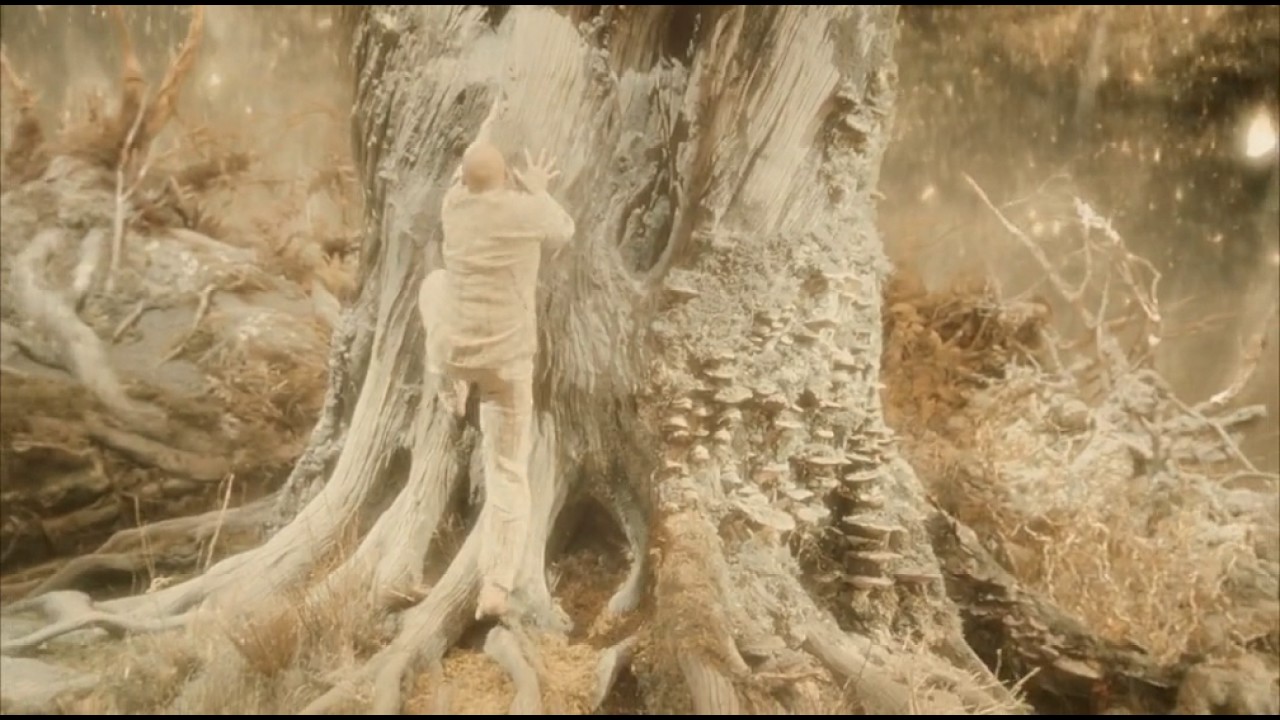 Wideo do filmu Źródło — Best Scene In The Fountain Movie - Must Watch
