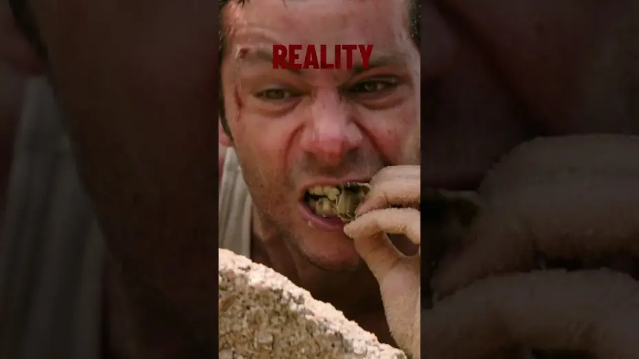Wideo do filmu Pomocy — Not always what you expect.