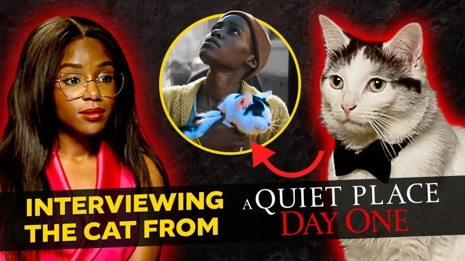 Wideo do filmu Ciche miejsce: Dzień pierwszy — An Exclusive Interview with The Cat from A Quiet Place: Day One