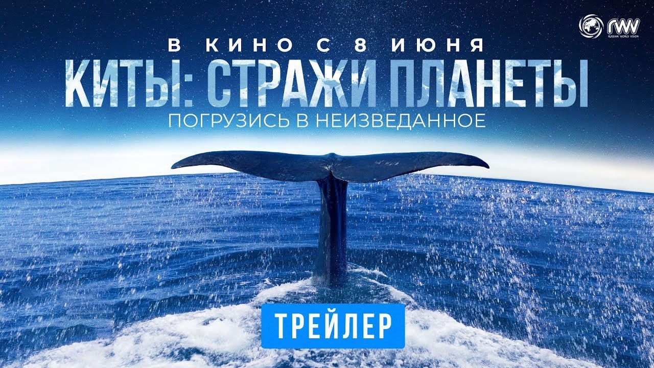 Wideo do filmu Pieśni wielorybów — трейлер французского познавательного фильма КИТЫ: СТРАЖИ ПЛАНЕТЫ, в кино с 8 июня