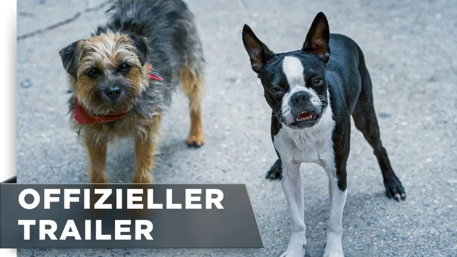 Wideo do filmu Spuszczone ze smyczy — Offizieller Trailer #3