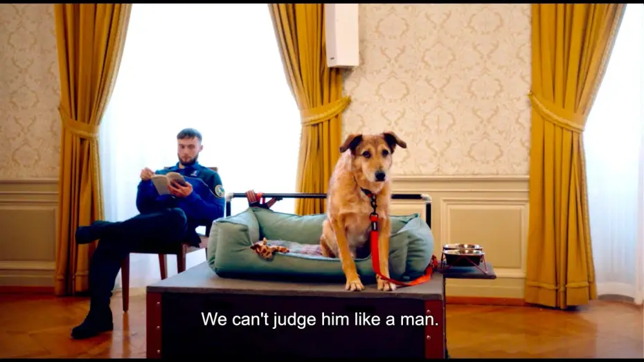 Wideo do filmu Pies na ławie oskarżonych — Trailer [Subtitled]
