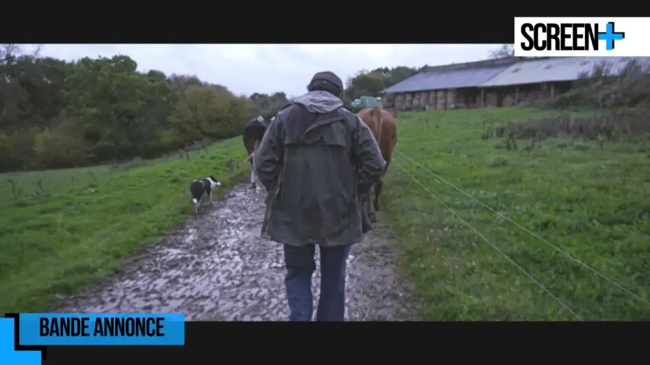 Wideo do filmu Violence dans les Champs — Violence dans les champs sur France 5