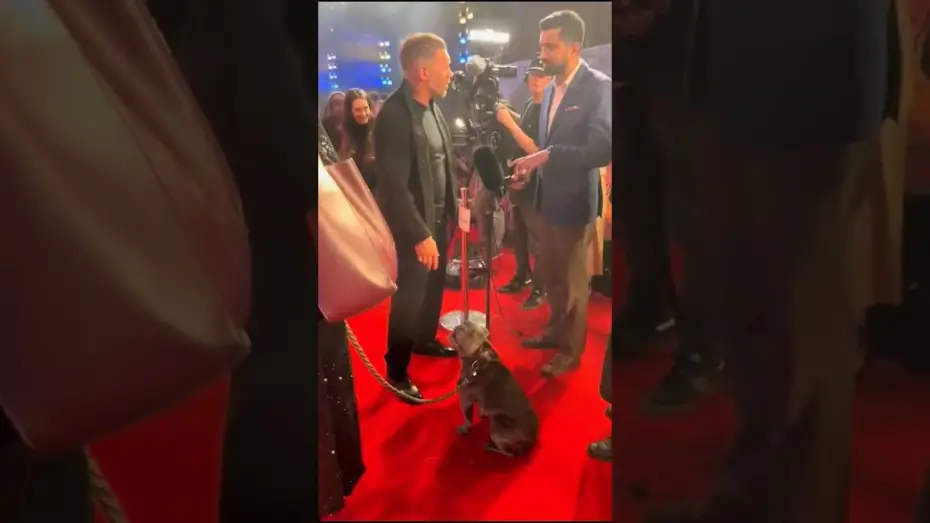 Wideo do filmu Venom 3: Ostatni taniec — A VIP cutie patootie 🖤 Blue stole our hearts