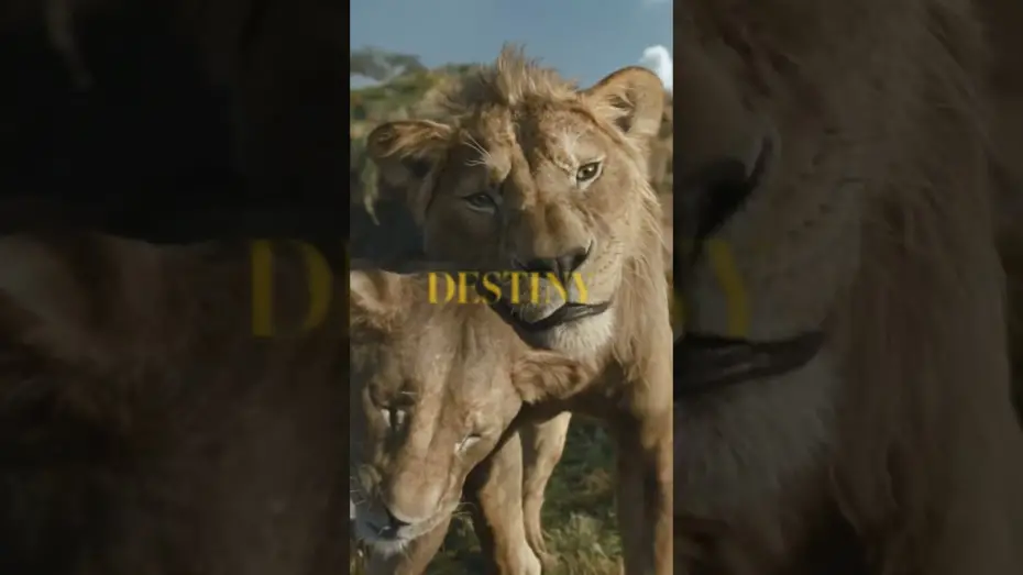 Wideo do filmu Mufasa: Król Lew — Be the First to Watch at Home Today. Buy It Now Only On Digital