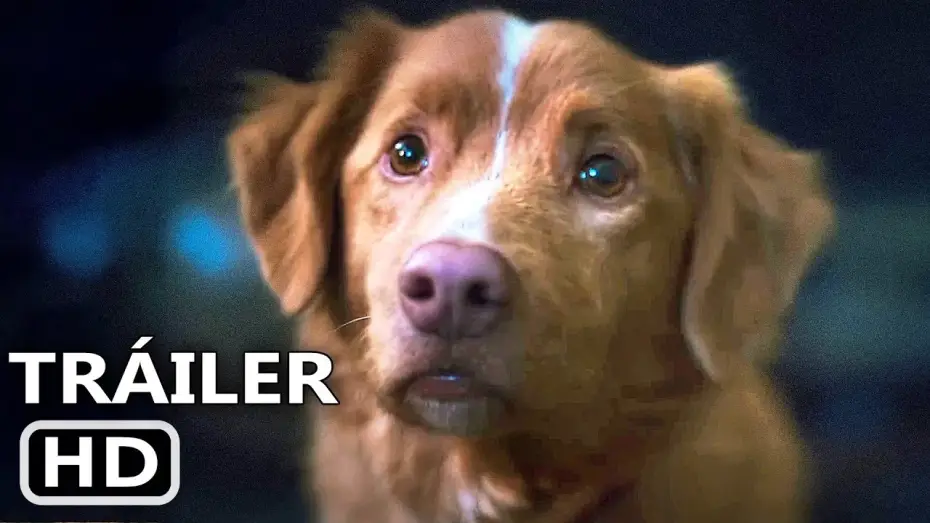 Wideo do filmu Good boy — GOOD BOY Tráiler Español Subtitulado (2025) Terror