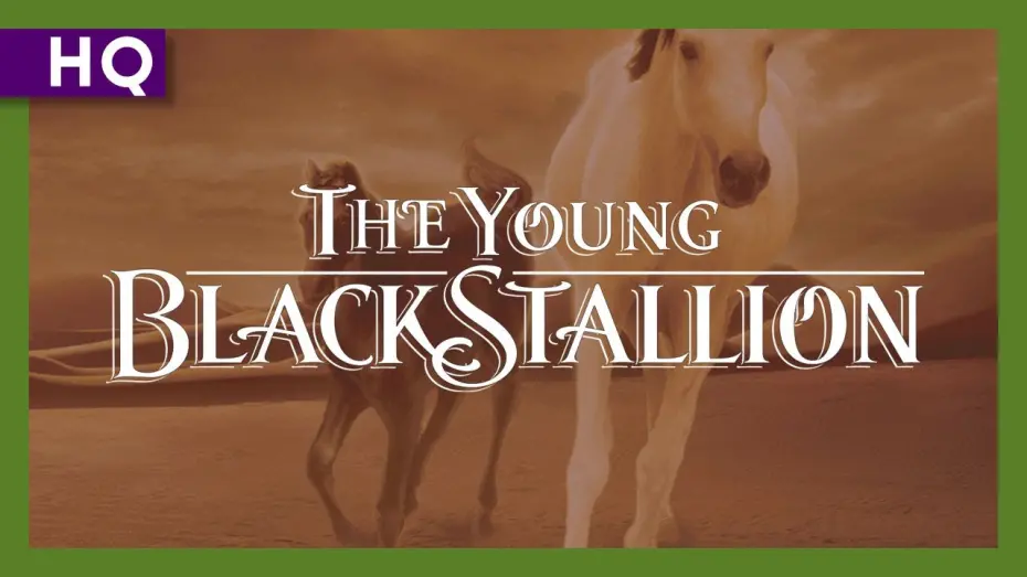 Wideo do filmu Young Black Stallion — Young Black Stallion (2003) Trailer