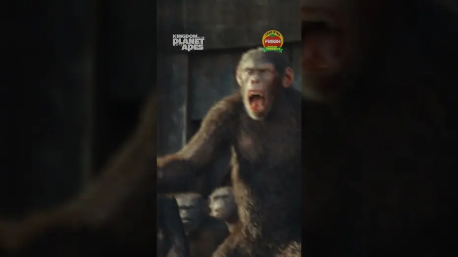 Wideo do filmu Królestwo Planety Małp — Together Strong