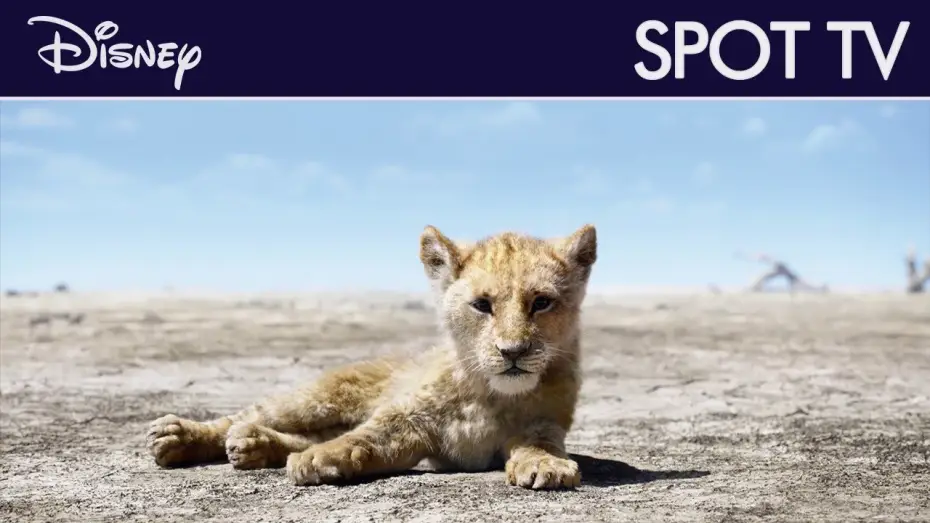 Wideo do filmu Król Lew — Le Roi Lion - Spot TV : "Pas de souci" VF