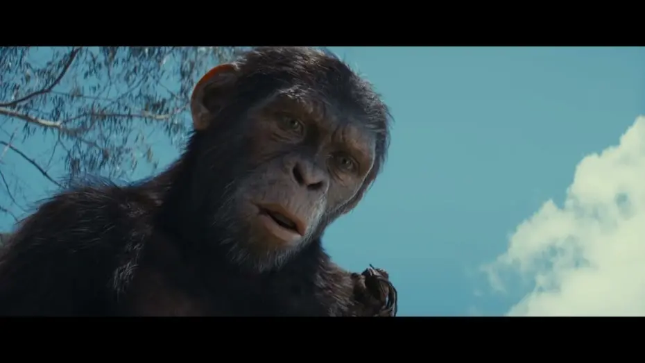 Wideo do filmu Królestwo Planety Małp — Noa’s Revenge