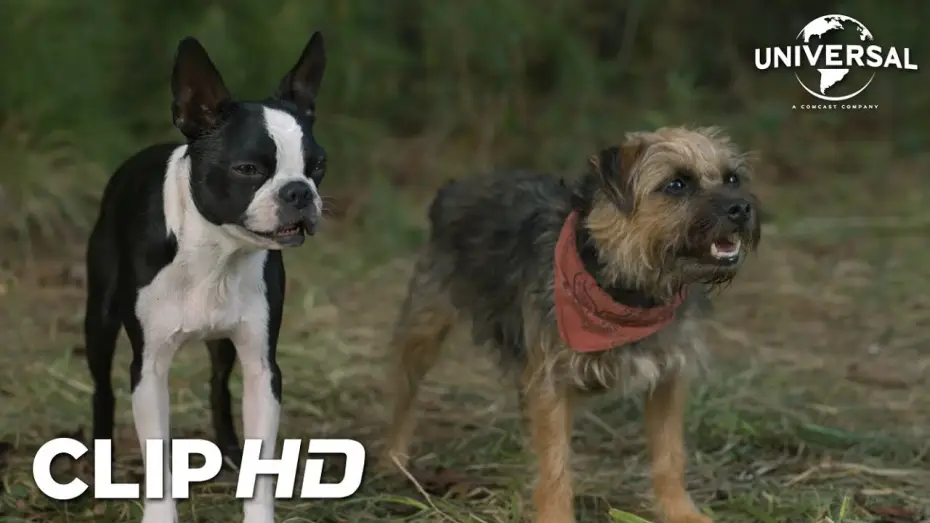 Wideo do filmu Spuszczone ze smyczy — Clip - Las reglas de Bug