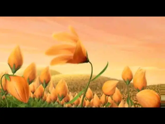 Wideo do filmu Dzwoneczek — Tinker Bell trailer (HQ)