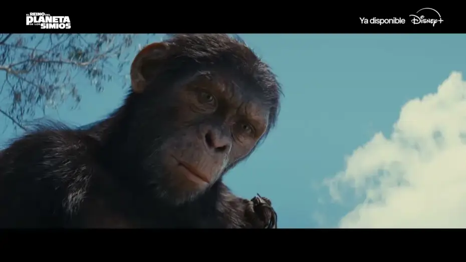 Wideo do filmu Królestwo Planety Małp — Ya disponible en Disney+