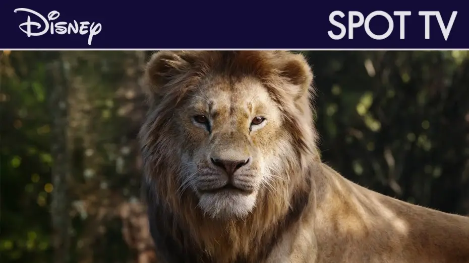 Wideo do filmu Król Lew — Le Roi Lion - Spot TV FR