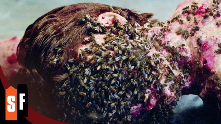 Wideo do filmu Uśpiony obóz — Death By Bees