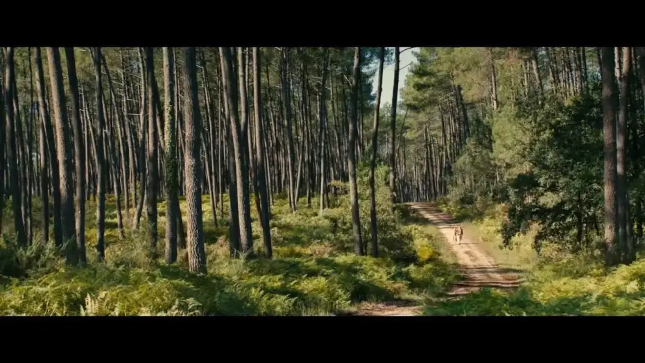 Wideo do filmu Thérèse Desqueyroux — Trailer THÉRÈSE (Deutsch) mit Audrey Tautou