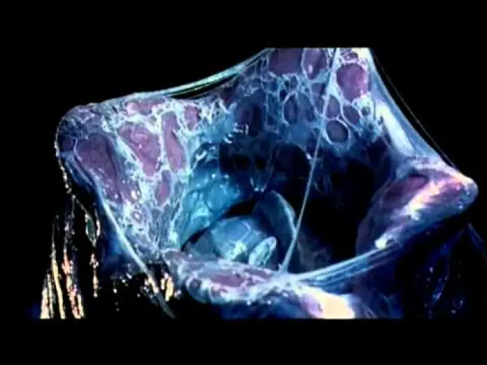 Wideo do filmu Obcy kontra Predator — alien vs predator trailer ita