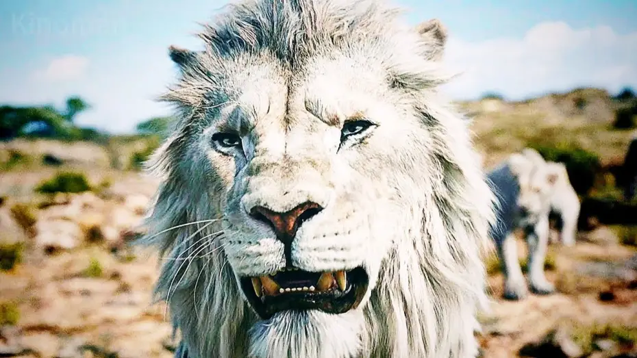 Wideo do filmu Mufasa: Król Lew — Муфаса: Король лев — Русский трейлер #2 (Дубляж, 2024)