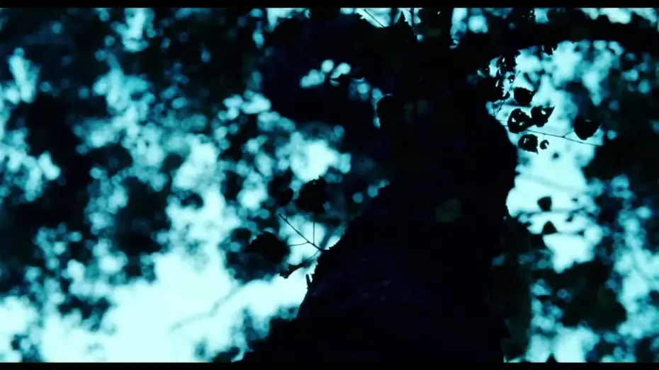 Wideo do filmu Lore — Trailer
