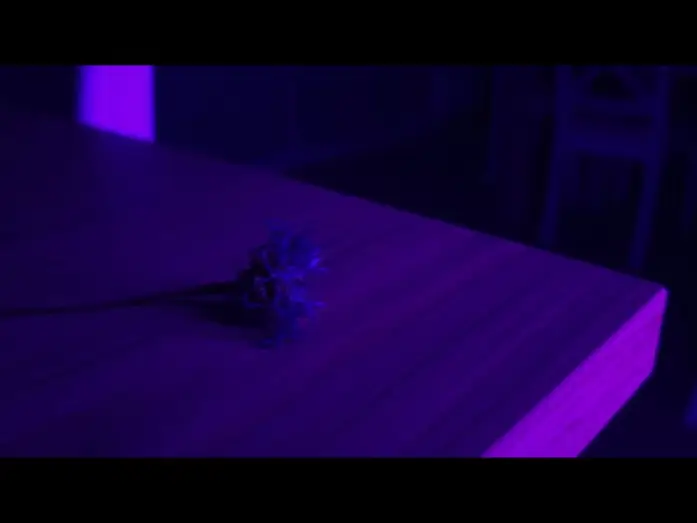 Wideo do filmu Centaurea — Centaurea | Teaser – Film indépendant réalisé au téléphone