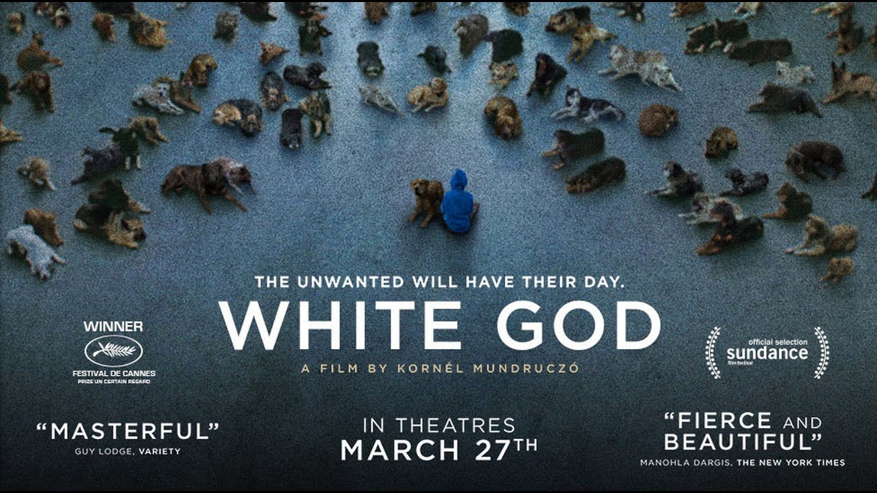 Wideo do filmu Biały Bóg — White God - Official Trailer