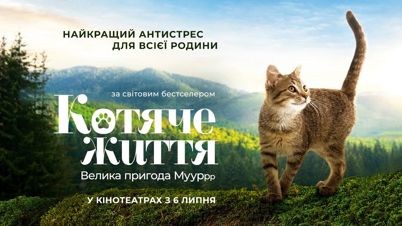 Wideo do filmu Mru i ja: Wielka przygoda na cztery łapy — "КОТЯЧЕ ЖИТТЯ. Велика пригода Муурр" Офіційний трейлер. У КІНОТЕАТРАХ з 6 ЛИПНЯ 2023