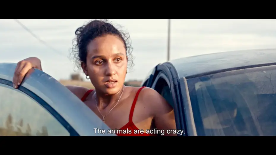 Wideo do filmu Zwierzę — Animale (2024) - Trailer (English Subs)
