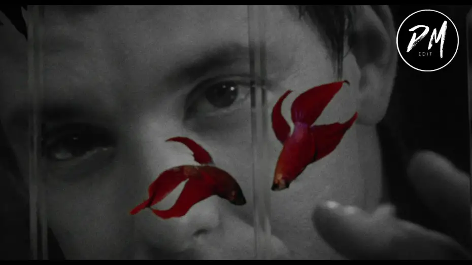 Wideo do filmu Rumble Fish — Rumble Fish (Modern Trailer)