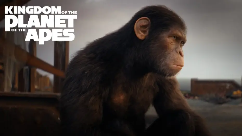 Wideo do filmu Królestwo Planety Małp — Bring Apes Home