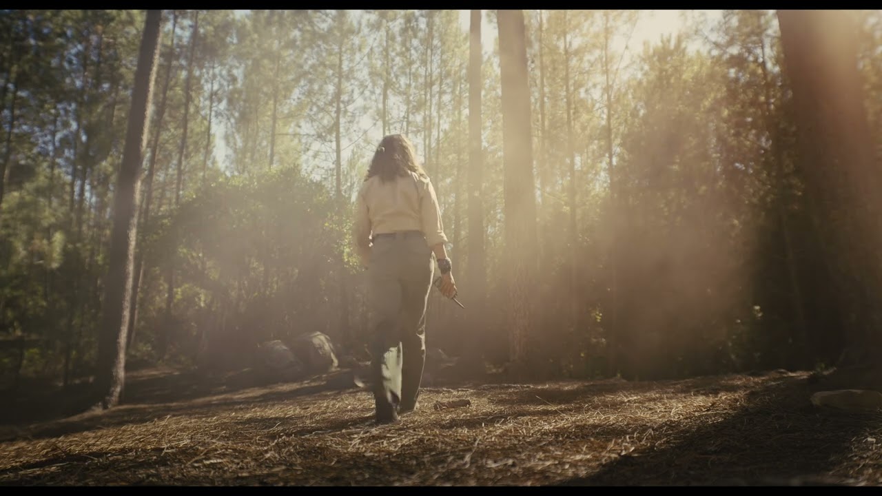 Wideo do filmu W mrocznym lesie — LOVELY, DARK, AND DEEP - Exclusive Clip