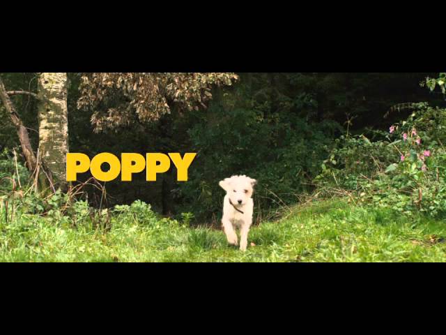 Wideo do filmu Turyści — Official Theatrical trailer
