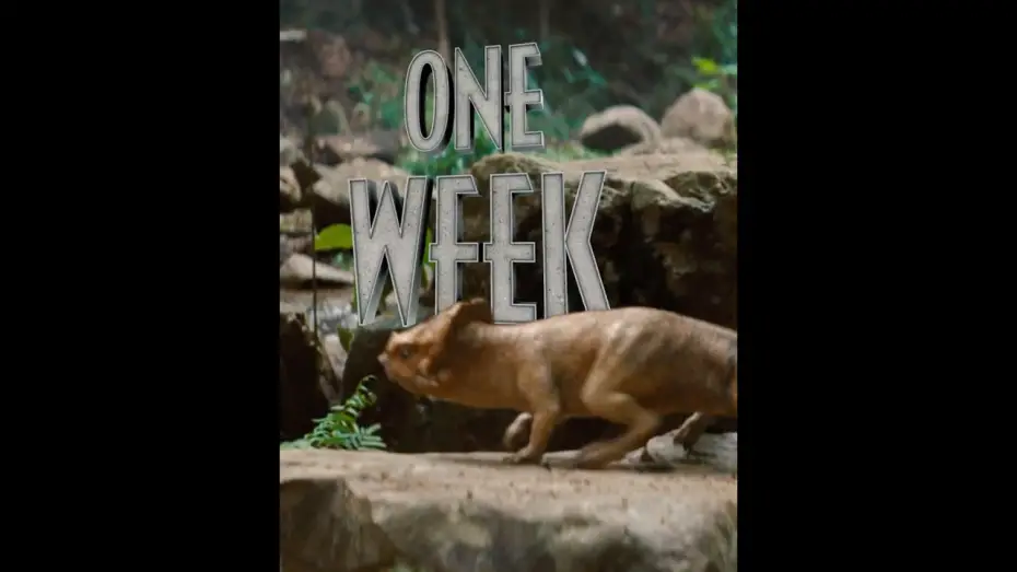 Wideo do filmu Jurassic World. Odrodzenie — You ready? Jurassic World Rebirth hits theaters in ONE WEEK. Get your tickets now!