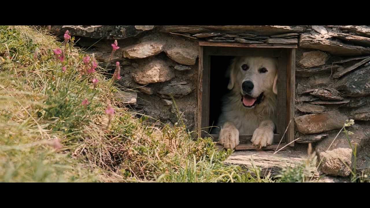 Wideo do filmu Bella i Sebastian — Belle and Sébastien (2013) - Trailer English Subs