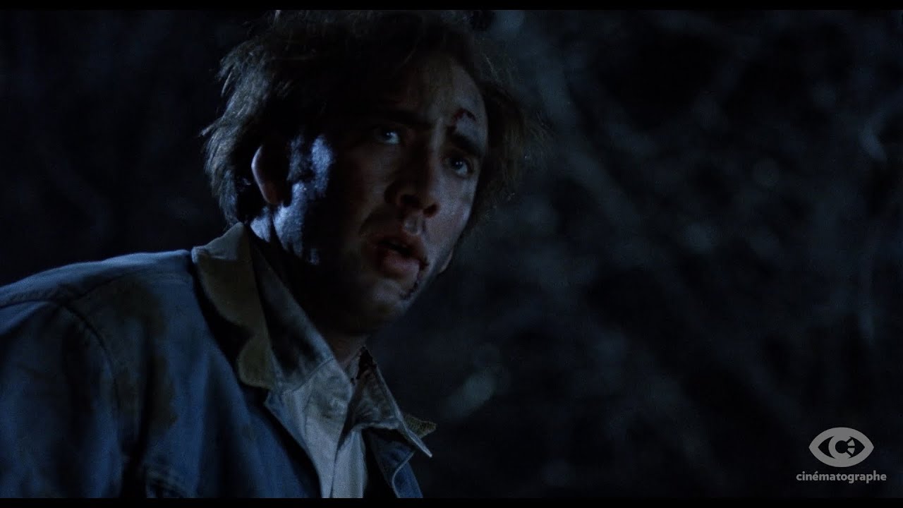 Wideo do filmu Red Rock West — Cinématographe Blu-ray Promo Trailer