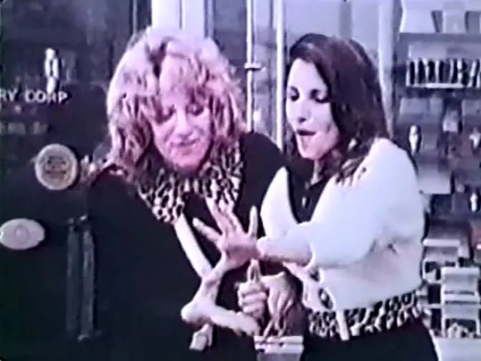Wideo do filmu The Lords of Flatbush — The Lords of Flatbush 1974 TV trailer