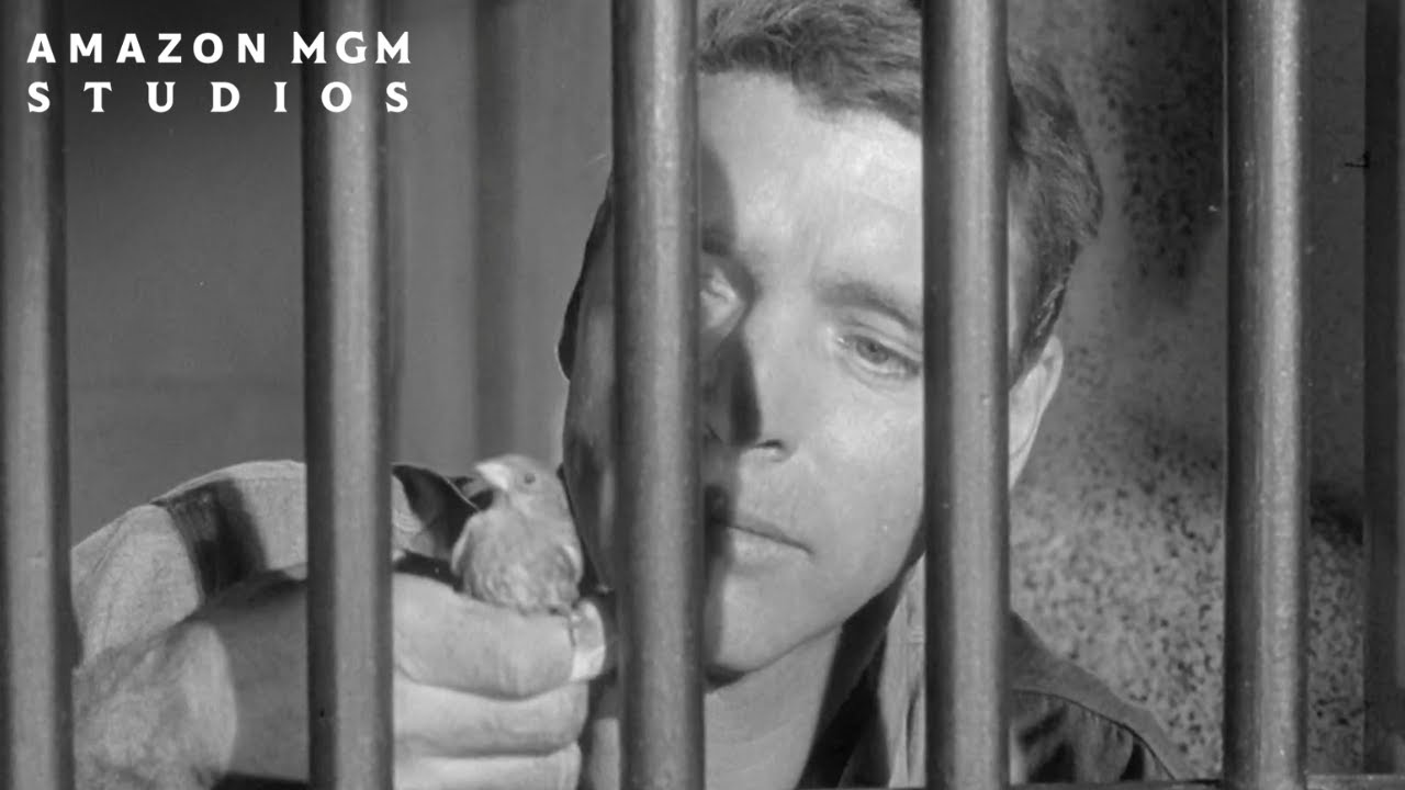 Wideo do filmu Ptasznik z Alcatraz — Official Trailer