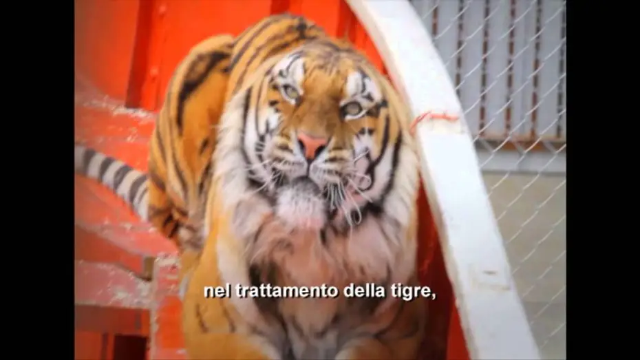 Wideo do filmu Życie Pi — Vita di Pi - Intervista Ang Lee