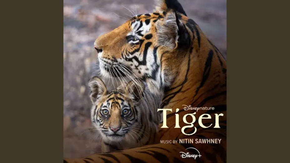 Wideo do filmu Za kulisami filmu "Tygrys" — Tigers on the Rise