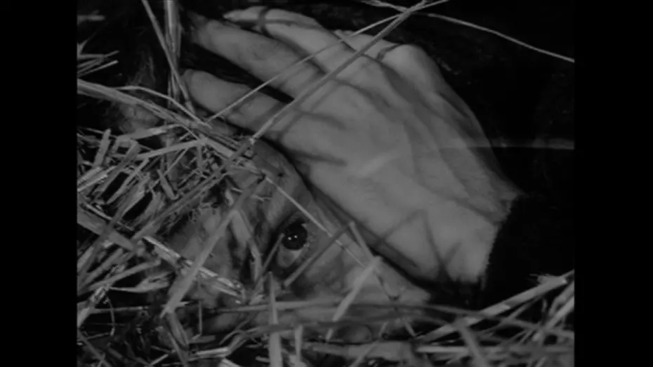 Wideo do filmu Wniebowstąpienie — The Ascent - Hiding from the Nazis