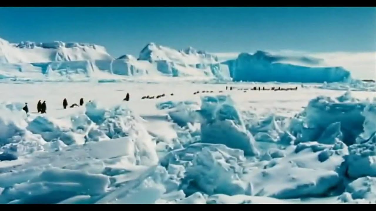Wideo do filmu Marsz pingwinów — March Of The Penguins Trailer [HD]