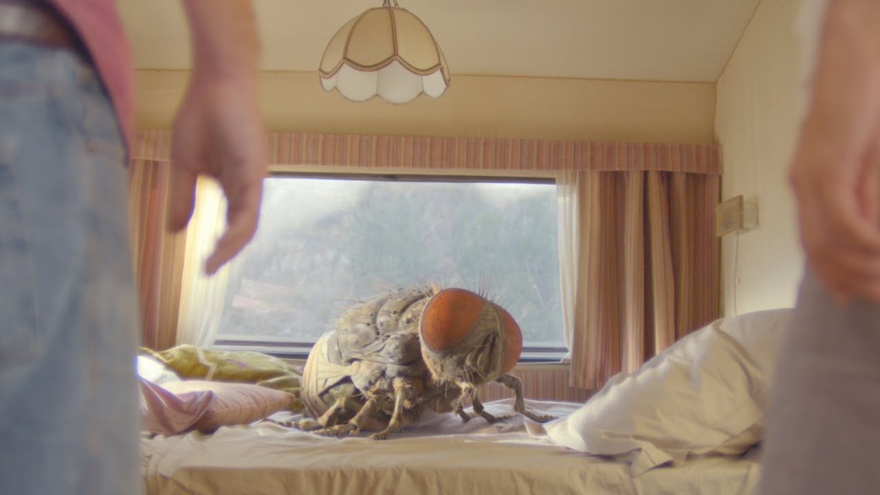 Wideo do filmu Mandibules — ‘Mandibles': First trailer for Quentin Dupieux’s giant fly comedy (exclusive)