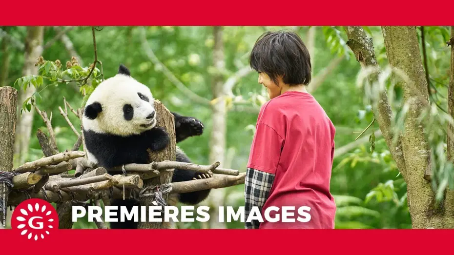 Wideo do filmu Moon le panda — MOON LE PANDA - Premières images [Le 9 avril au cinéma ]