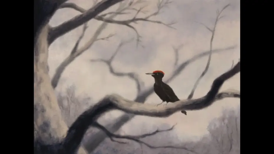 Wideo do filmu Almagre — ALMAGRE - Annecy Festival 2024