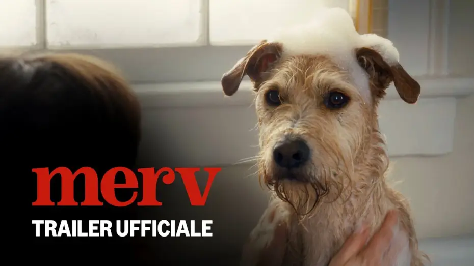 Wideo do filmu Merv — Merv | Trailer Ufficiale | Prime Video