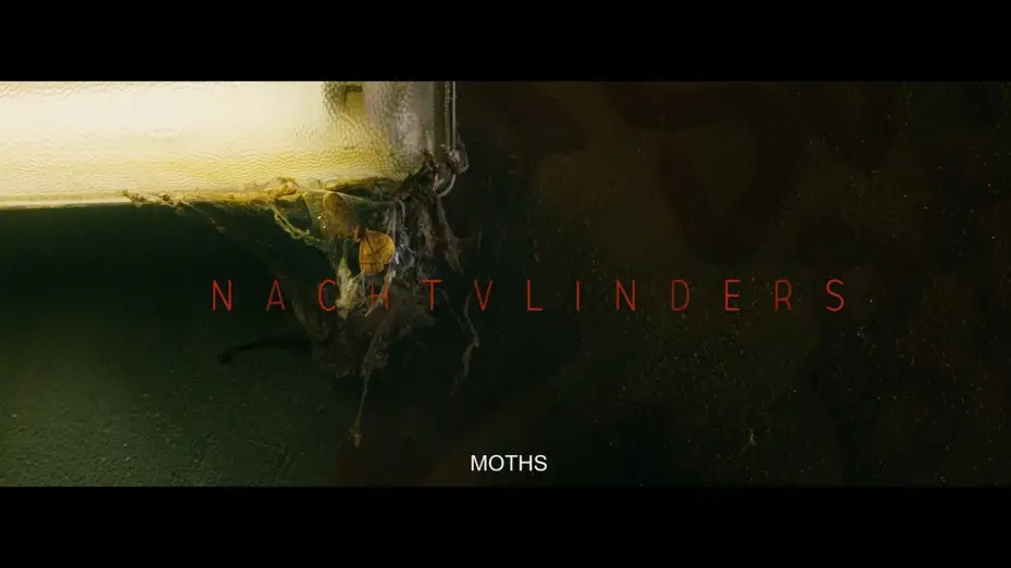 Wideo do filmu Nachtvlinders — Night Creatures - Trailer