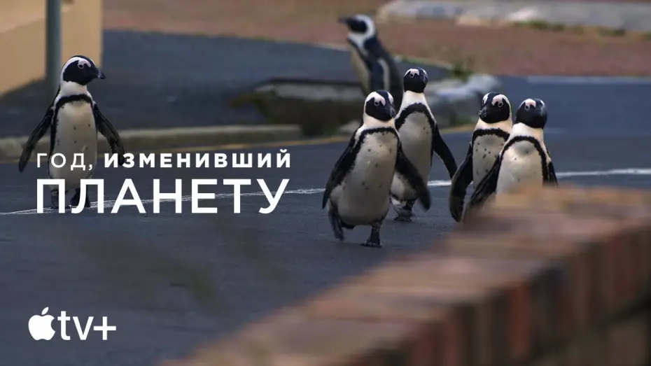 Wideo do filmu Rok, który odmienił świat — Официальный трейлер [Субтитры]