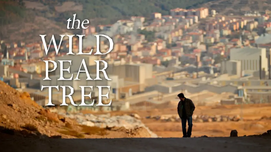 Wideo do filmu Dzika grusza — The Wild Pear Tree (official trailer)