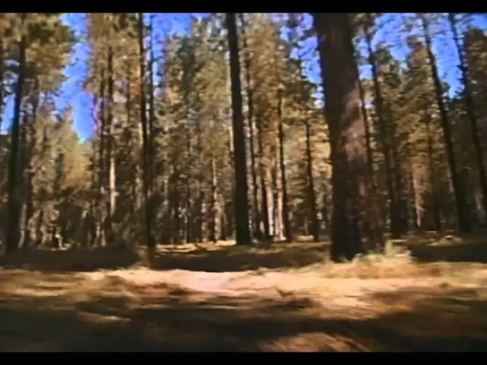 Wideo do filmu Gra o przeżycie — Surviving The Game Trailer 1994