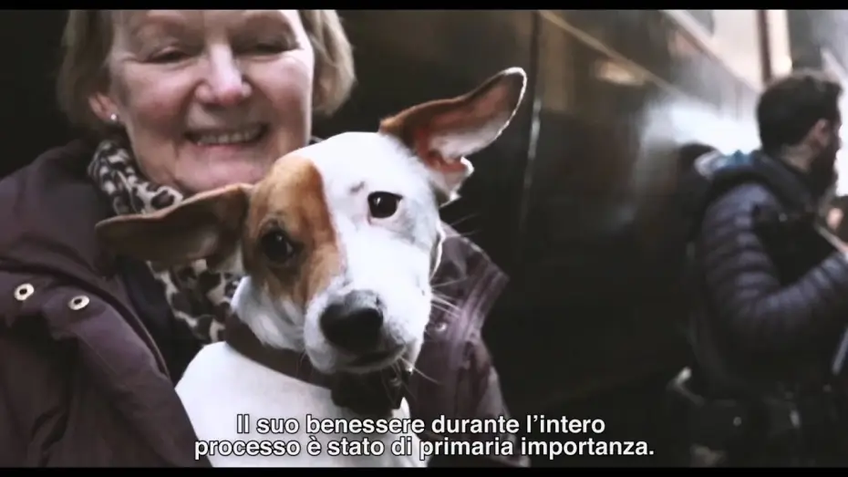 Wideo do filmu Dziewczyna z portretu — THE DANISH GIRL di Tom Hooper - Featurette "Pixie" (sottotitoli in italiano)