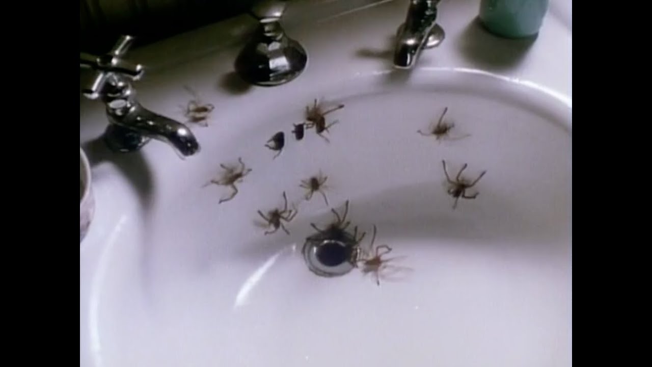 Wideo do filmu Arachnofobia — Arachnophobia (1990) Theatrical Trailer